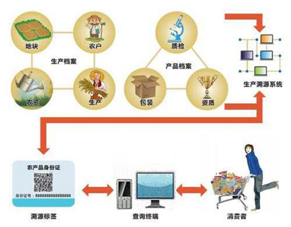 创新"电子凭证,追溯召回"闭环管理